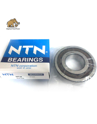 NUP308 Bearing For Sauer 90R75 Piston Pump