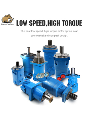 Low Speed High Torque Motors